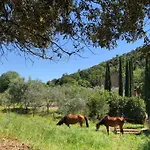 Terramadre