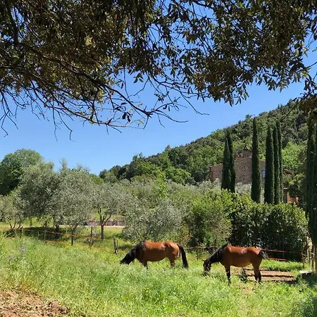 Terramadre