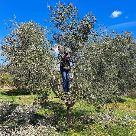 Terramadre Appartamento